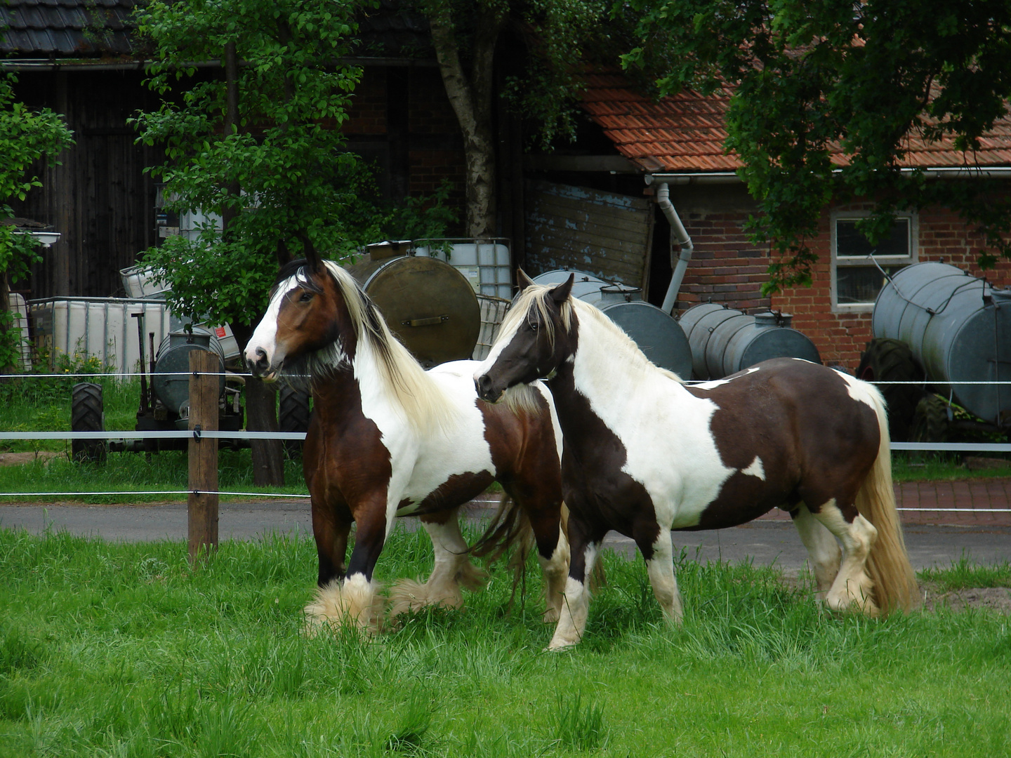 Irish Tinker