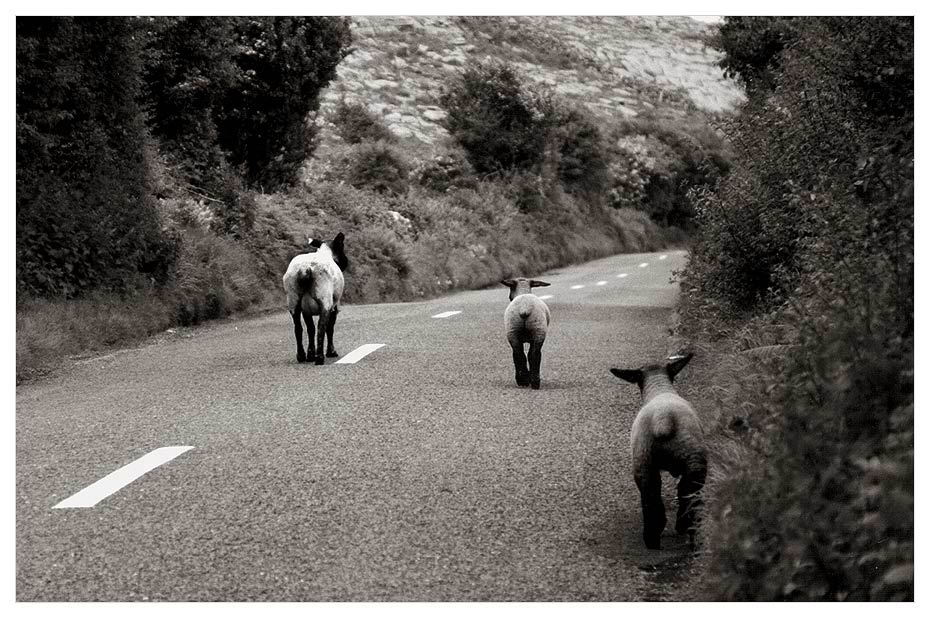 [ Irish traffic ]