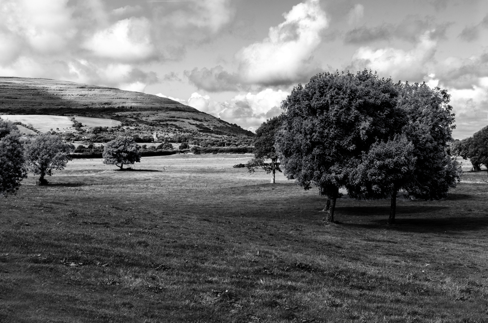 ... irish view b/w ...