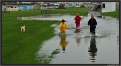 irish watergames