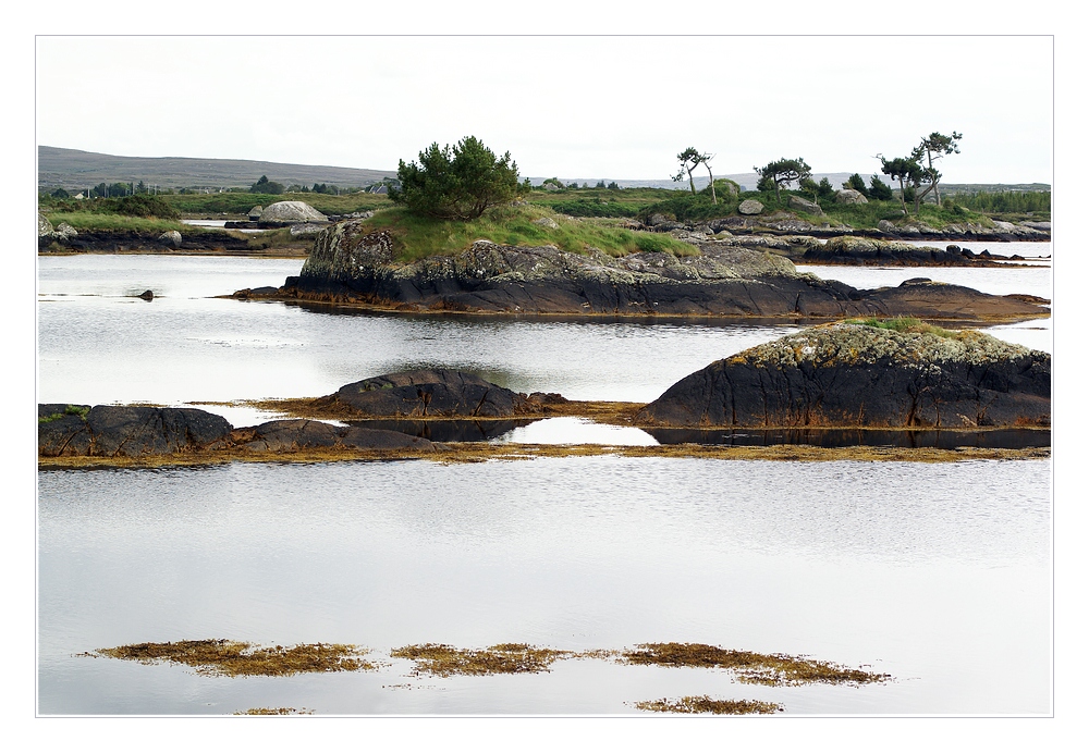 irish wilderness