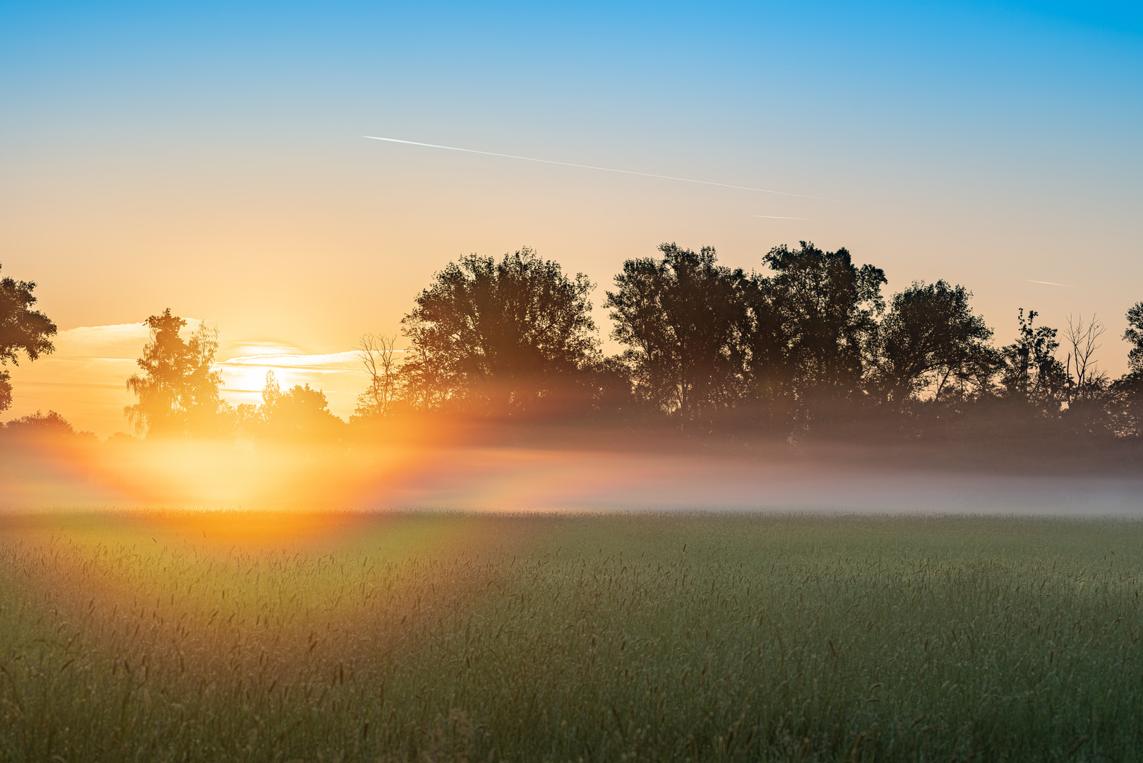 Irisierender Morgen