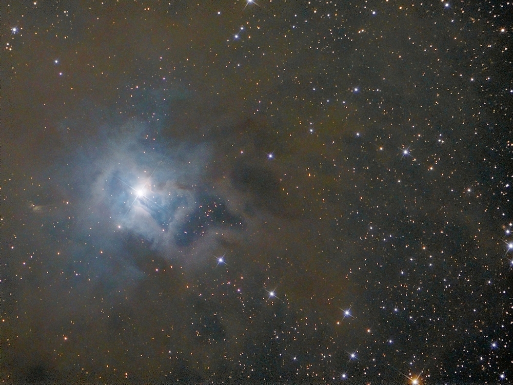 Irisnebel NGC 7023 in Farbe