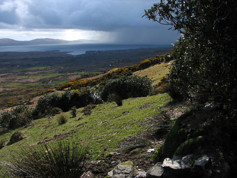 Irland 2006 - Ring of Beara (vor Adrigole)