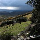 Irland 2006 - Ring of Beara (vor Adrigole)