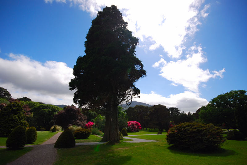 Irland 2007 - Killarney Nationalpark - ParkGarten Muckross House