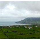 Irland 2014...149...