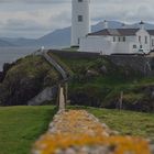 Irland 2018 (34)