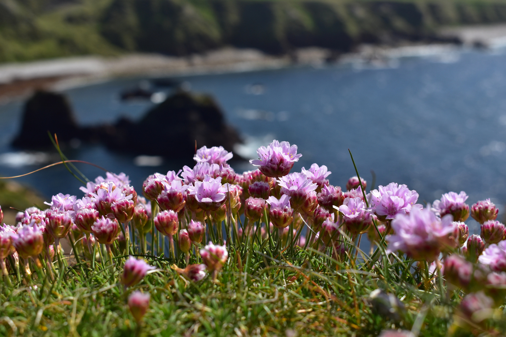 Irland 2018 (96)