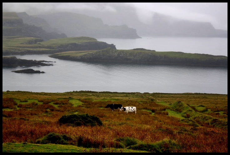 Irland.