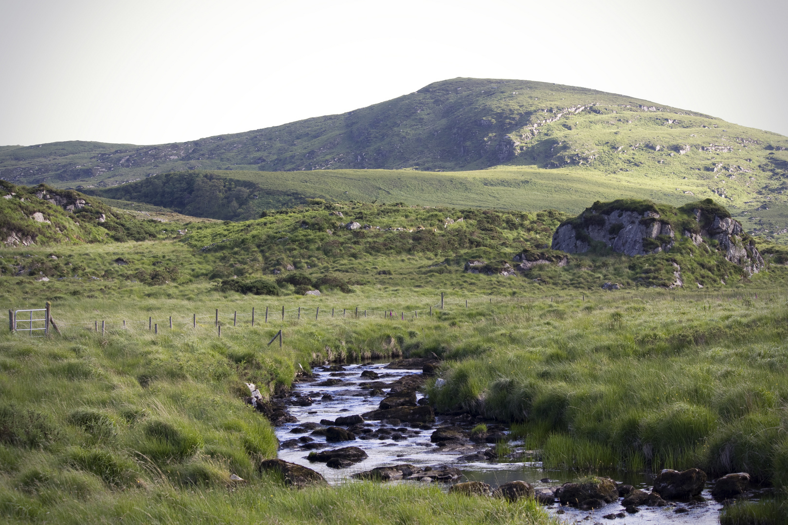 Irland "at its best"