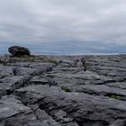 Irland - Burren