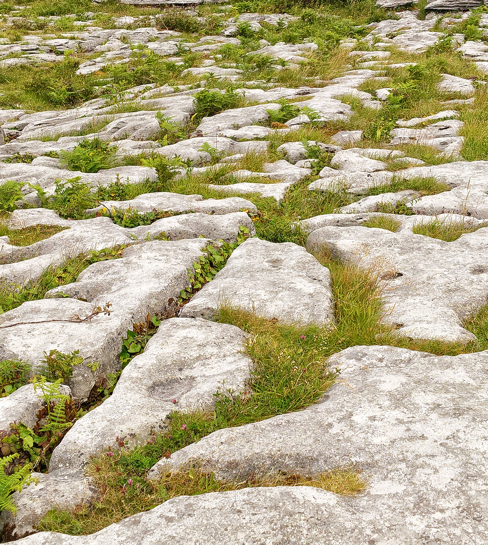 Irland Burren Nationalpark