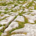 Irland Burren Nationalpark