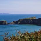 Irland Carrick-a-Rede