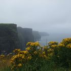 Irland cliffs of moher