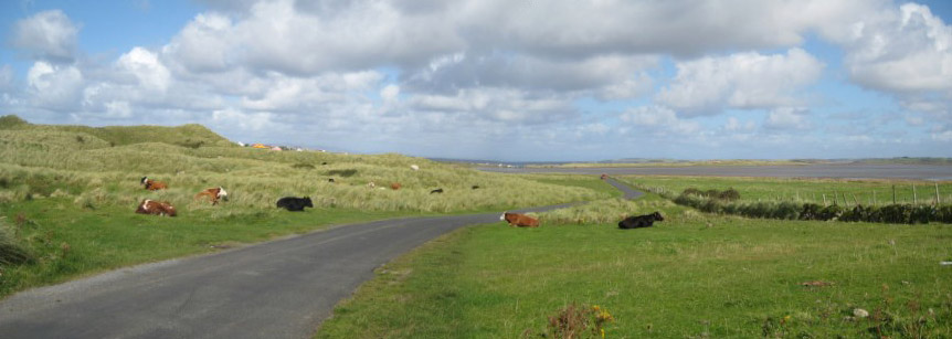  Irland, co. Sligo