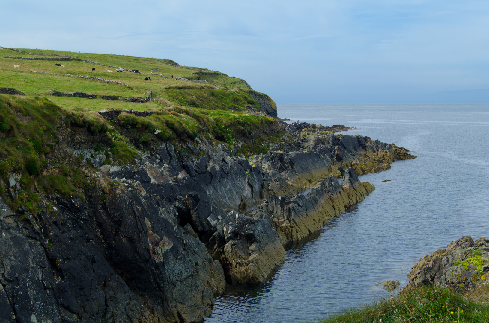 ... Irland coast IV ...