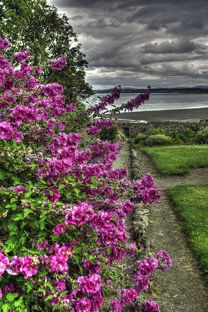 Irland - County Sligo - Alpine Garden