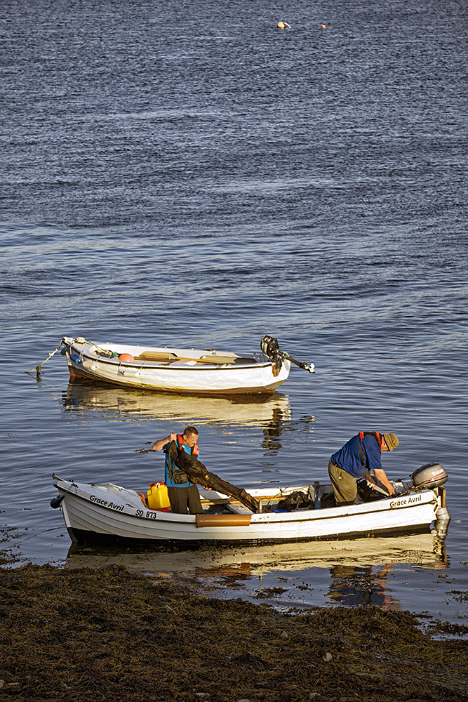 Irland - County Sligo - Grace Avril