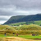 Irland - County Sligo - Strandhill Golf Club