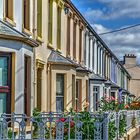 Irland - County Sligo - Temple Street