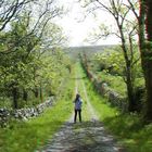 Irland:. Die wunderschönen Landschaften. Ein Foto von der Fotografin.