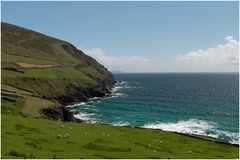 Irland Dingle Bay (Kerry)