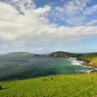 Irland Dingle - Slea Head