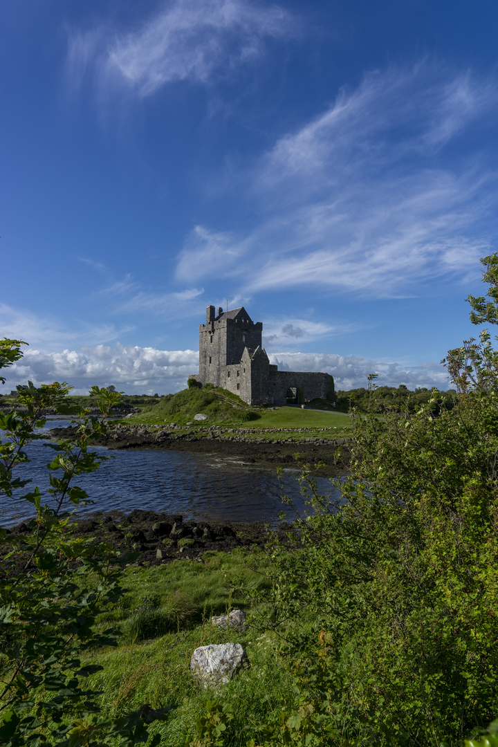  Irland Dunguaire Castle 