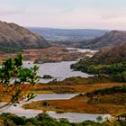 Irland im Herzen von Dingle Grafschaft Kerry