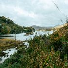 Irland im Süden Grafschaft Kerry