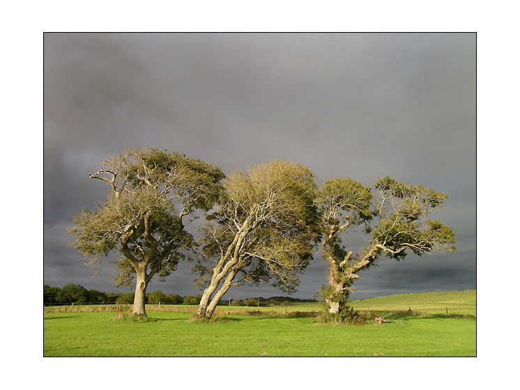 Irland, in der nähe von Galway