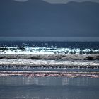 Irland Inch Beach Co. Kerry Sept 2012