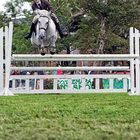 Irland - Jumping Connemara Pony