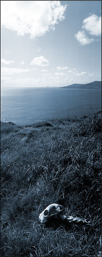 Irland, Kerry, Blick vom Reenearagh