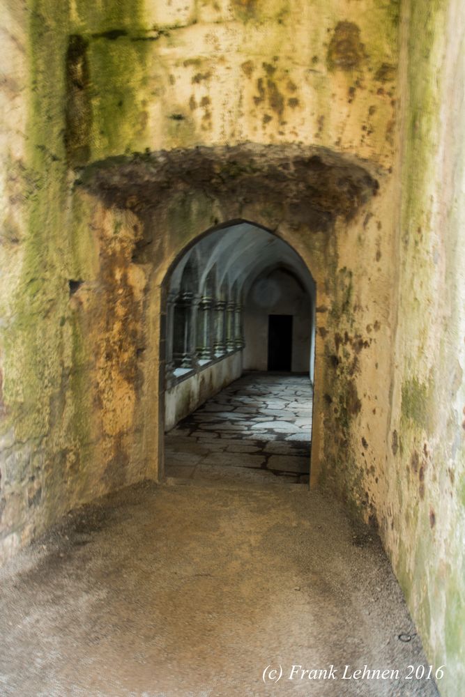 Irland, Kerry, Nationalpark in Killarney - Muckross Abbey