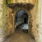 Irland, Kerry, Nationalpark in Killarney - Muckross Abbey