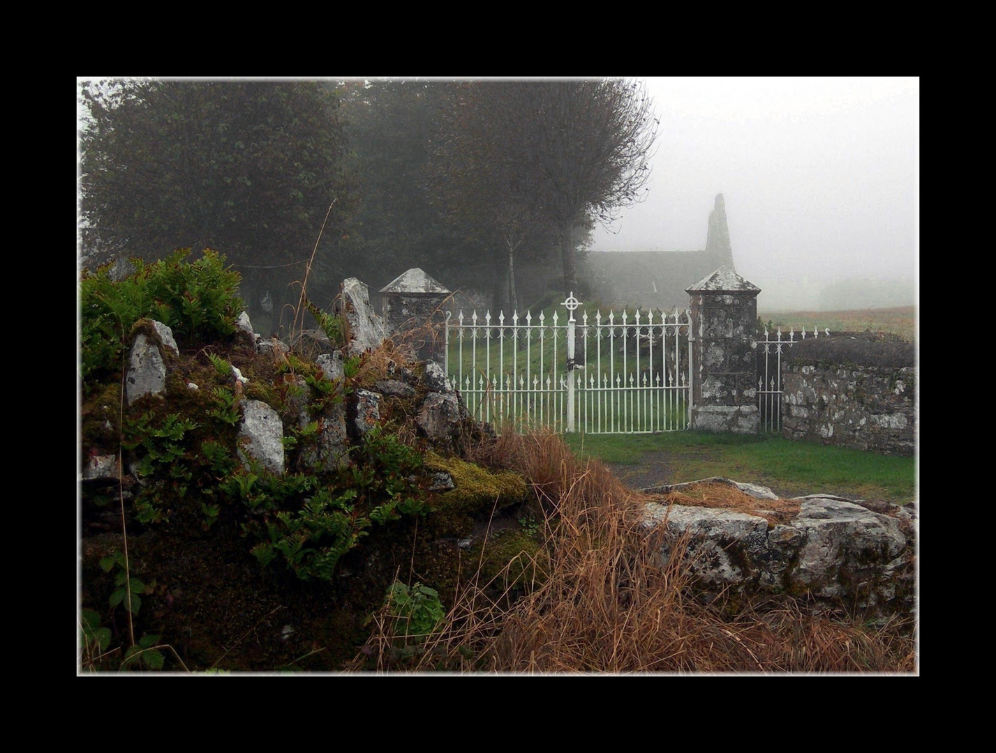 Irland ~ Kilcrea Friary im Morgennebel