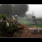 Irland ~ Kilcrea Friary im Morgennebel