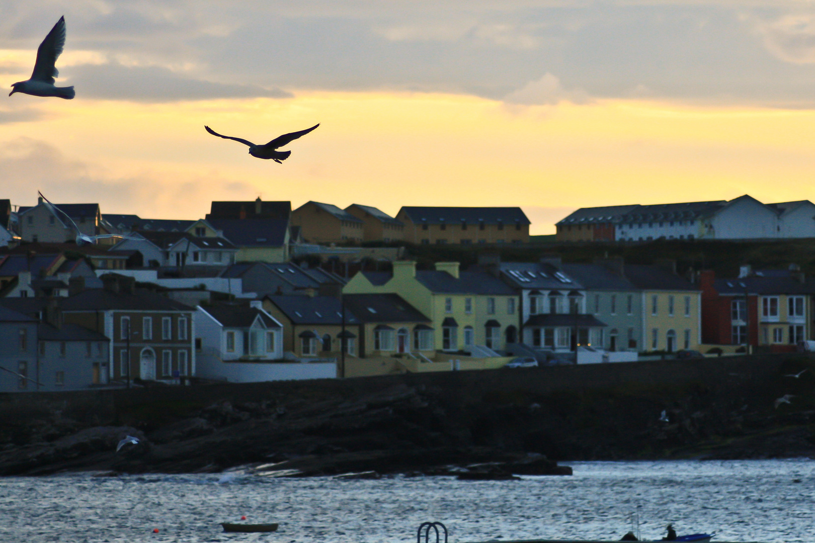 Irland Kilkee 2010