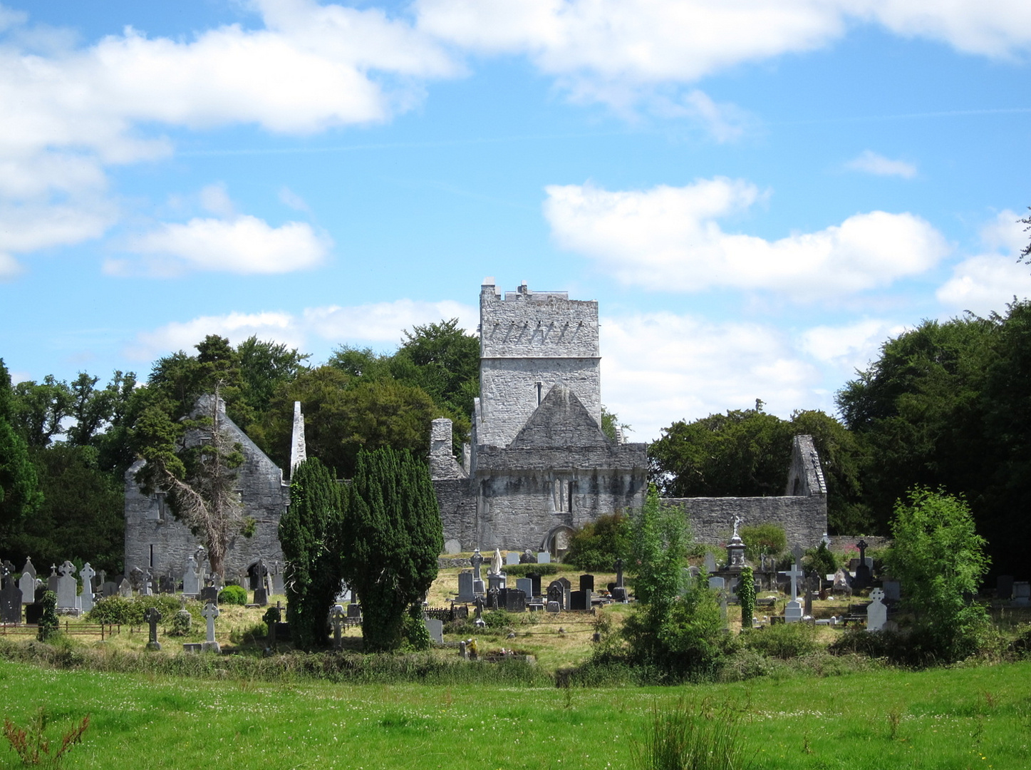 Irland - Killarney - Muckross Abbey - Juli 2011