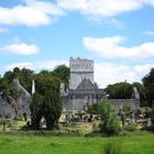 Irland - Killarney - Muckross Abbey - Juli 2011