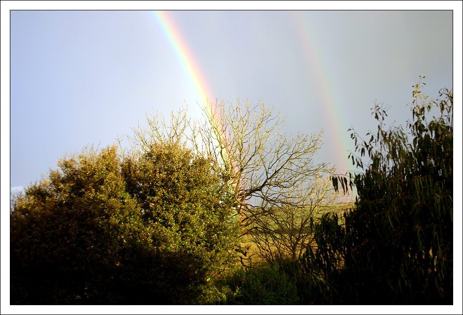 Irland, Land des Regenbogens IV...