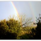 Irland, Land des Regenbogens IV...