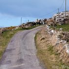 Irland, Langsam fahren...