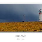 IRLAND  - Loop Head -