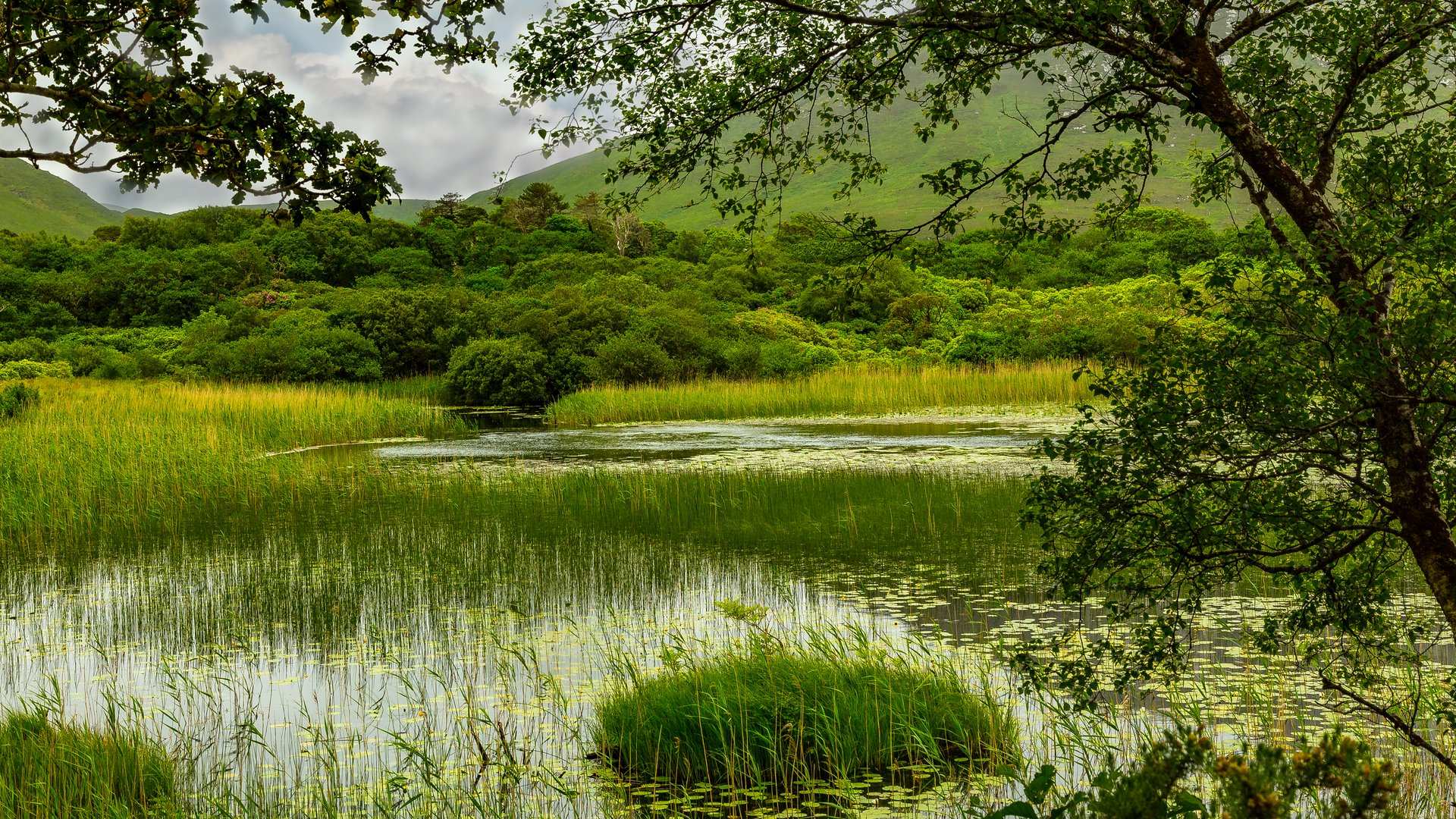 IRLAND NR. 10 - CONNEMARA