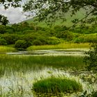 IRLAND NR. 10 - CONNEMARA