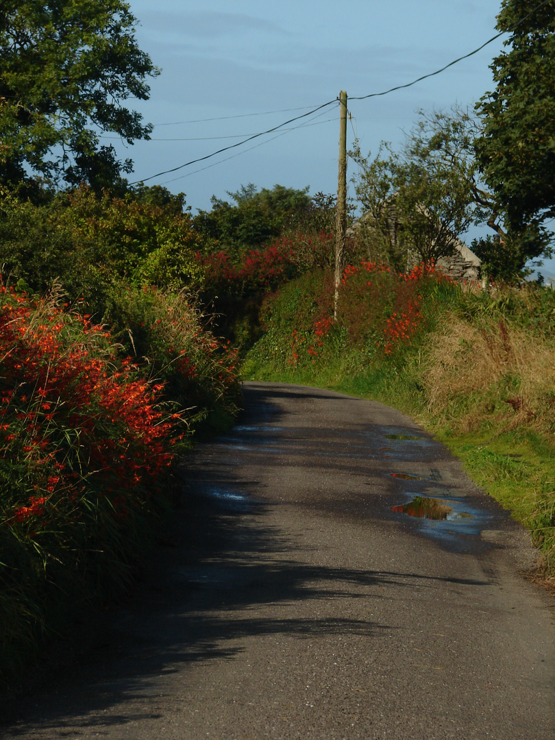 Irland - On the road